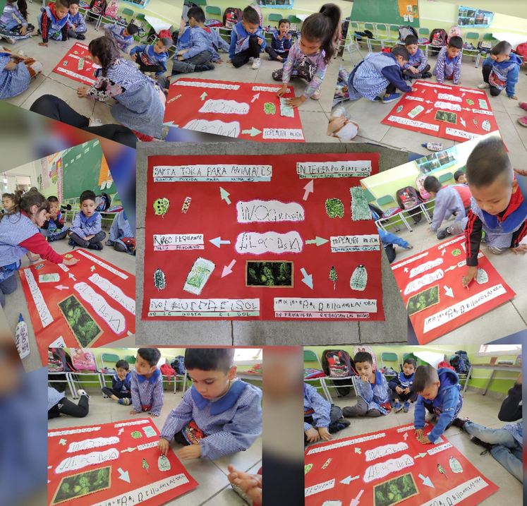 ENTRE TODOS DIAGRAMARON LA INFOGRAFÍA, DECIDIERON EN QUÉ LUGAR COLOCAR CADA CARTEL, IMAGEN Y DIBUJOS. LUEGO, SE REALIZÓ LA LECTURA DEL RESULTADO FINAL. 