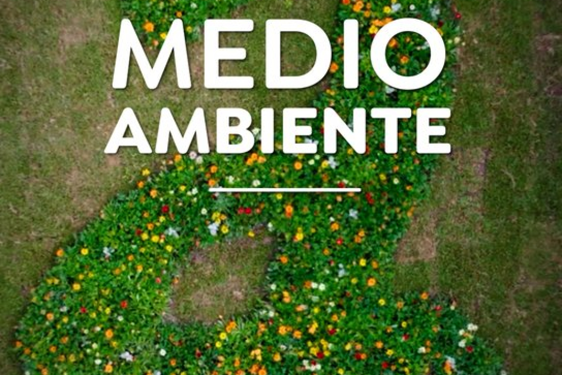Avellaneda reafirma su compromiso ambiental en el Día Mundial del Medio Ambiente