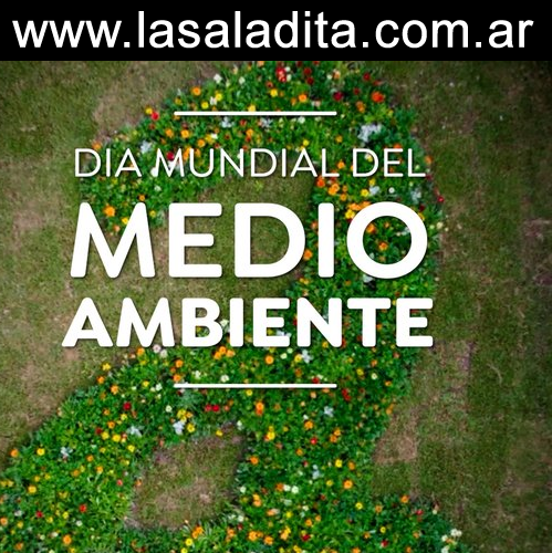 Avellaneda reafirma su compromiso ambiental en el Día Mundial del Medio Ambiente