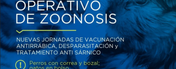 Operativo de Zoonosis en Sarandí: vacunación, desparasitación y atención gratuita para mascotas