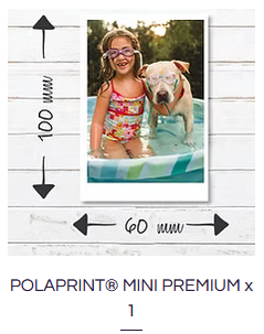 Pollar Print Pollar Print